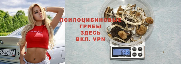 дживик Вяземский