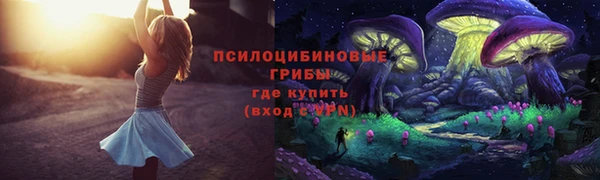 дживик Вязьма