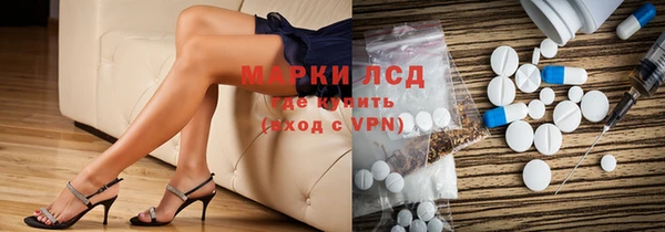 сатива Россошь