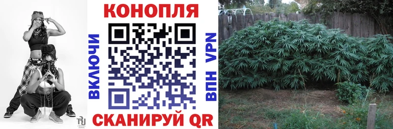 Бошки Шишки конопля  мега ТОР  Калачинск 